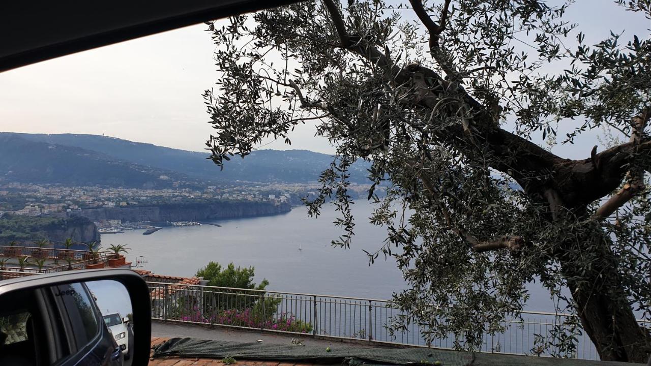 Grimaldi Guest Sorrent